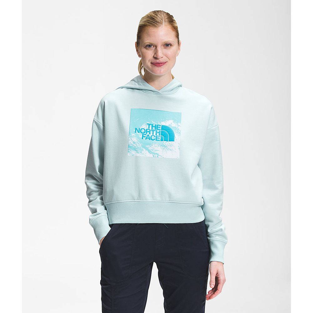 The North Face Hoodie Womens Australia - The North Face Logo Play Blue (TIO-023894)